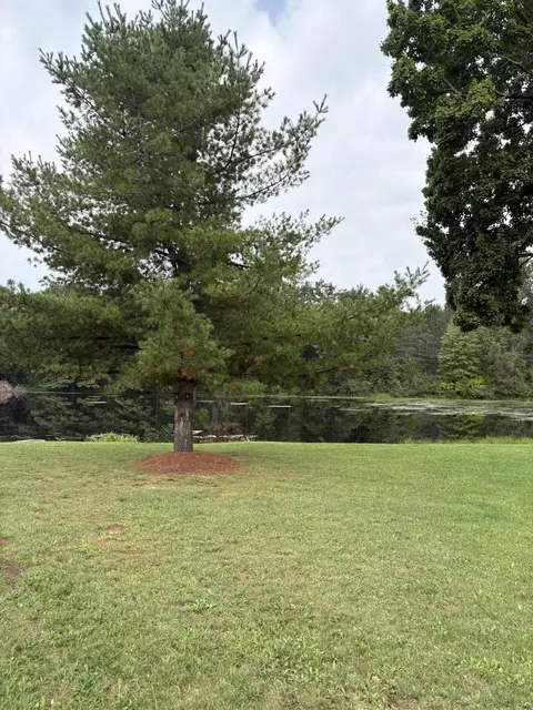 View/Area - 1455 Eldon Ct, Gladwin, MI 48624 photo 4 of 5
