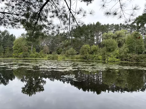 View/Area - 1455 Eldon Ct, Gladwin, MI 48624 photo 3 of 5