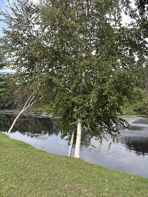 View/Area - 1455 Eldon Ct, Gladwin, MI 48624 photo 1 of 5