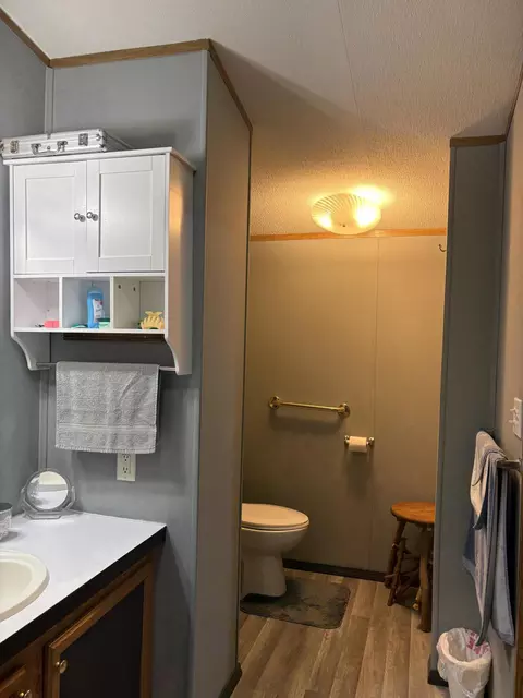 Bath - 1455 Eldon Ct, Gladwin, MI 48624 photo 4 of 7
