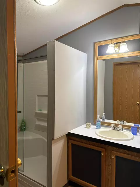 Bath - 1455 Eldon Ct, Gladwin, MI 48624 photo 6 of 7
