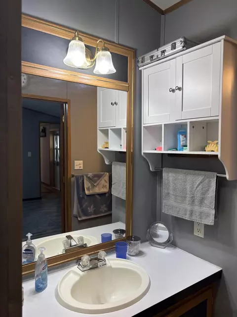 Bath - 1455 Eldon Ct, Gladwin, MI 48624 photo 5 of 7
