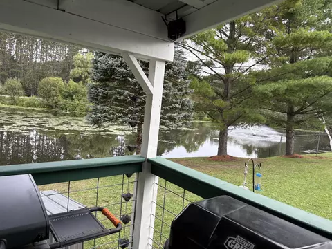 Exterior - 1455 Eldon Ct, Gladwin, MI 48624 photo 19 of 22