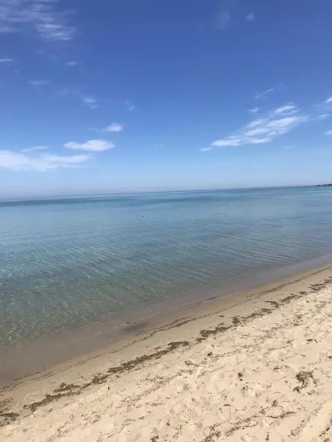 14201 N Cathead Bay, Northport, MI 49670