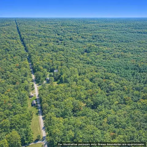 View/Area - 00000 W Olson Rd, Shepherd, MI 48883 photo 6 of 7