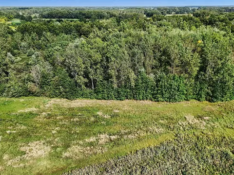 Other - 0 Zieman Rd, Maybee, MI 48159 photo 5 of 6