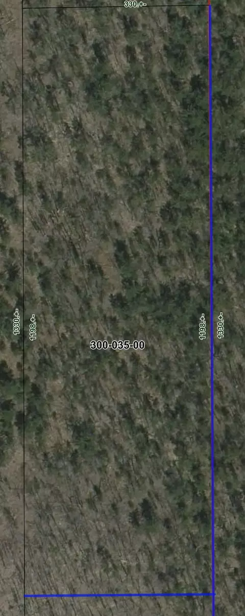 Carothers Drive, Gaylord, MI 49735