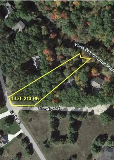 9750 Stony Creek Ct, Stanwood, MI 49346