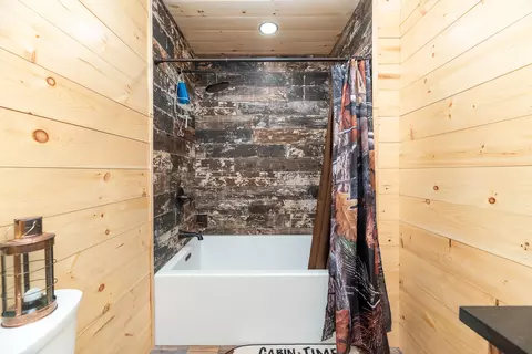Bath - 10175 S Riverbend Rd, Baldwin, MI 49304 photo 2 of 2