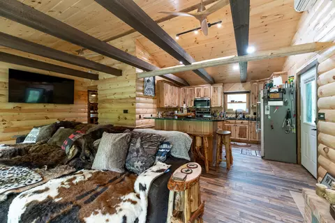 Living - 10175 S Riverbend Rd, Baldwin, MI 49304 photo 2 of 7