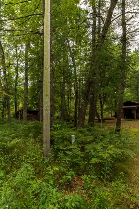 Exterior - 10175 S Riverbend Rd, Baldwin, MI 49304 photo 12 of 13