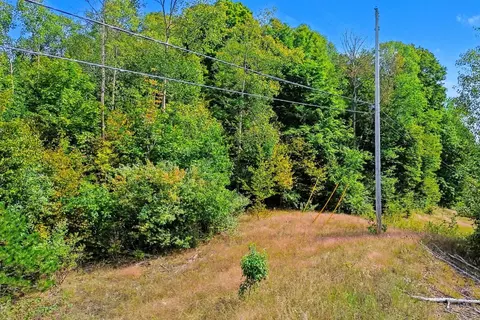 Other - Parcel A, Honor, MI 49640 photo 2 of 3