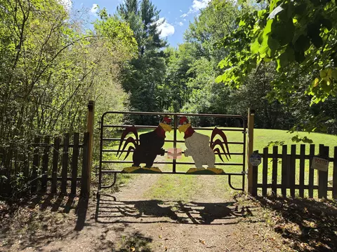 4272 Swan Lake Dr, Allegan, MI 49010