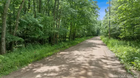 Other - VL 36th Street #(10 ACRES), Hamilton, MI 49419 photo 1 of 3