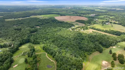 View/Area - VL 36th Street #(10 ACRES), Hamilton, MI 49419 photo 3 of 14
