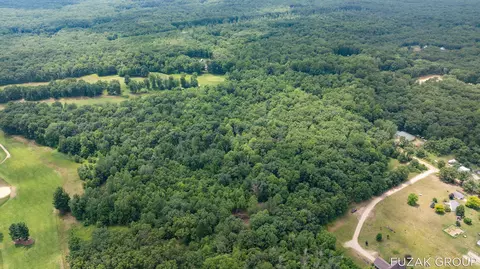 View/Area - VL 36th Street #(SOUTH 5 ACRES), Hamilton, MI 49419 photo 12 of 13