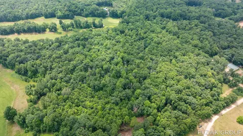Other - VL 36th Street #(SOUTH 5 ACRES), Hamilton, MI 49419 photo 2 of 3