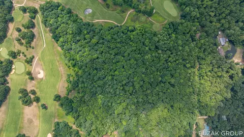 View/Area - VL 36th Street #(SOUTH 5 ACRES), Hamilton, MI 49419 photo 11 of 13