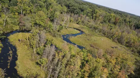 View/Area - 52524 Johnson Rd, Three Rivers, MI 49093 photo 3 of 5