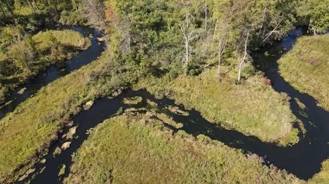 View/Area - 52524 Johnson Rd, Three Rivers, MI 49093 photo 2 of 5