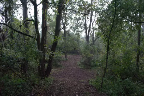 0 W Joy Rd, Dexter, MI 48130 photo 5
