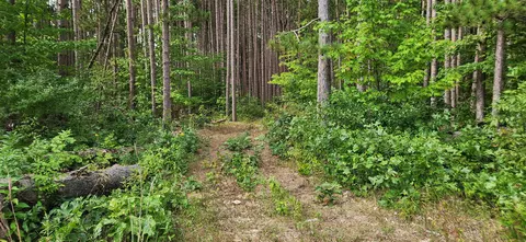 Other - 1277 S Walnut Ave, White Cloud, MI 49349 photo 10 of 12