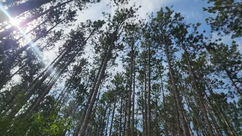 Other - 1277 S Walnut Ave, White Cloud, MI 49349 photo 2 of 12