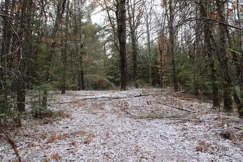 7601 E County Line Rd, South Branch, MI 48761