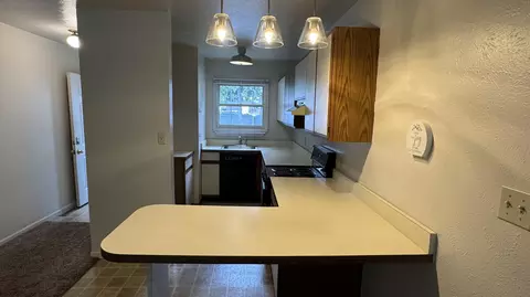 Kitchen - 164 Irwin St, Brooklyn, MI 49230 photo 4 of 4