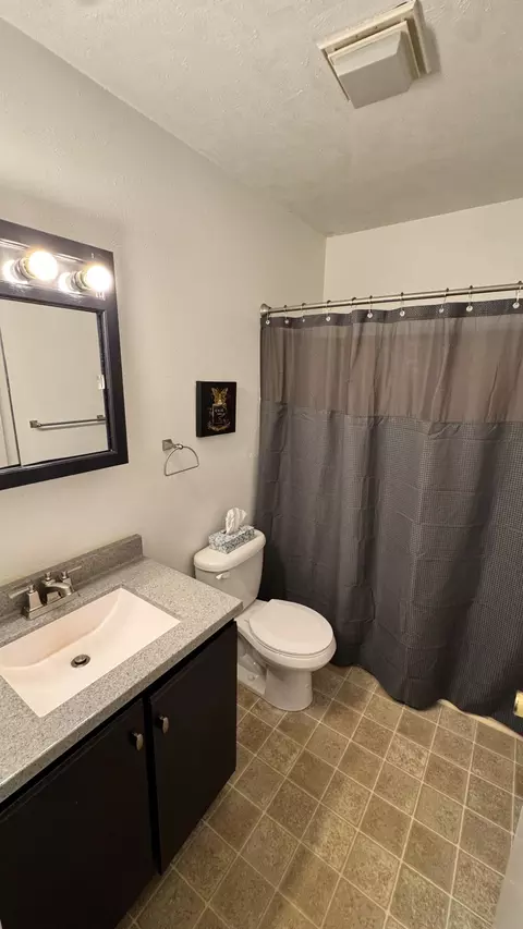 Bath - 164 Irwin St, Brooklyn, MI 49230 photo 1 of 1