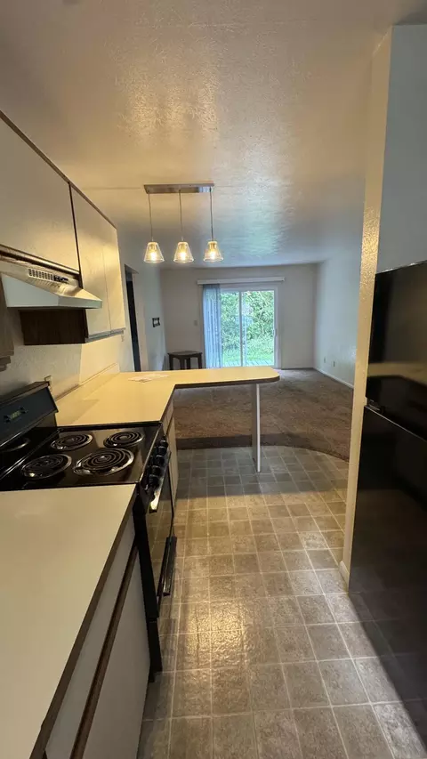 Kitchen - 164 Irwin St, Brooklyn, MI 49230 photo 3 of 4