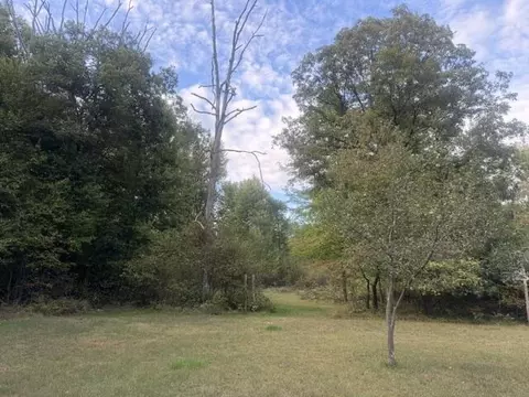 Exterior - 1505 E Van Buren St, White Cloud, MI 49349 photo 2 of 2