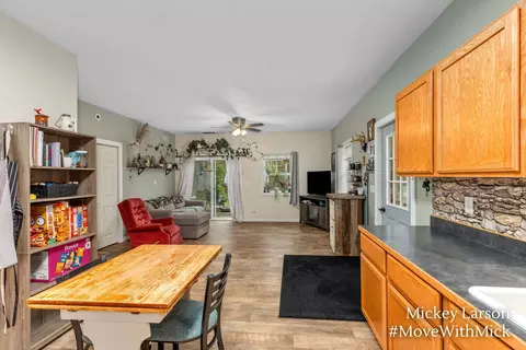 Other - 134 E 1st St, Stanton, MI 48888 photo 1 of 5