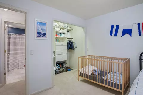 Other - 111 Maple Ave, Stanton, MI 48888 photo 9 of 11