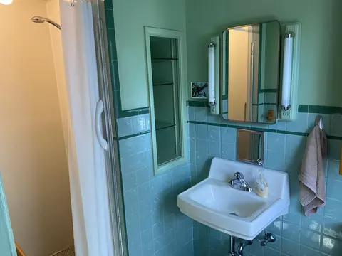 Bath - 143 E Colon Rd, Coldwater, MI 49036 photo 3 of 3