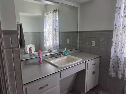 Bath - 143 E Colon Rd, Coldwater, MI 49036 photo 2 of 3