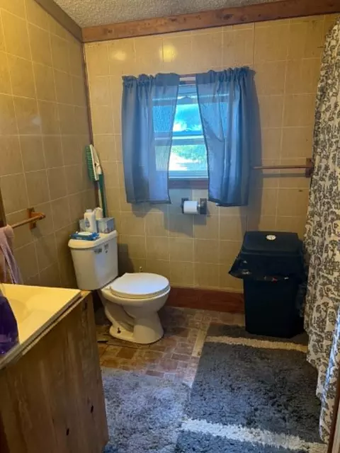 1310 Church Rd, Bad Axe, MI 48413 photo 6
