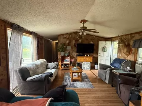 1310 Church Rd, Bad Axe, MI 48413 photo 8
