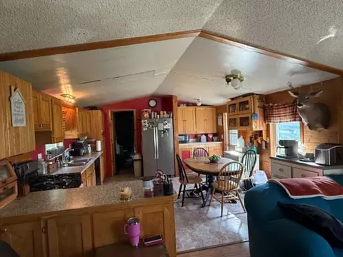 1310 Church Rd, Bad Axe, MI 48413 photo 9