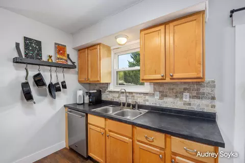 237 Roberta Jayne Dr SE, Lowell, MI 49331 photo 11