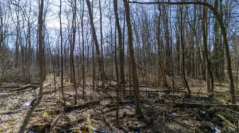 Other - Vl Doster Road, Plainwell, MI 49080 photo 5 of 12