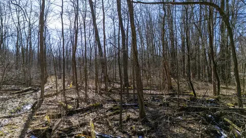 Other - Vl Doster Road, Plainwell, MI 49080 photo 6 of 12
