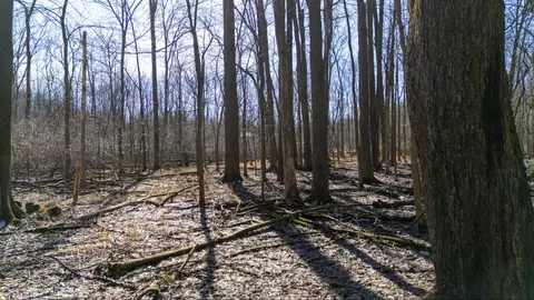 Other - Vl Doster Road, Plainwell, MI 49080 photo 10 of 12