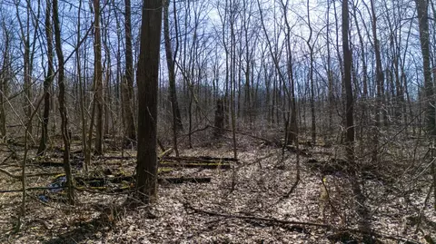 Other - Vl Doster Road, Plainwell, MI 49080 photo 8 of 12