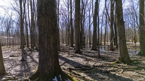 Other - Vl Doster Road, Plainwell, MI 49080 photo 12 of 12