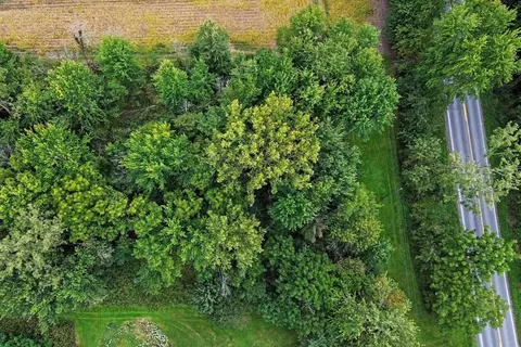 View/Area - 00000 Union Rd, Cassopolis, MI 49031 photo 7 of 8