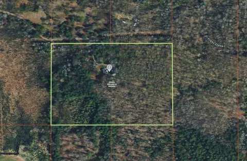 11781 Downs Dr, Leroy, MI 49655