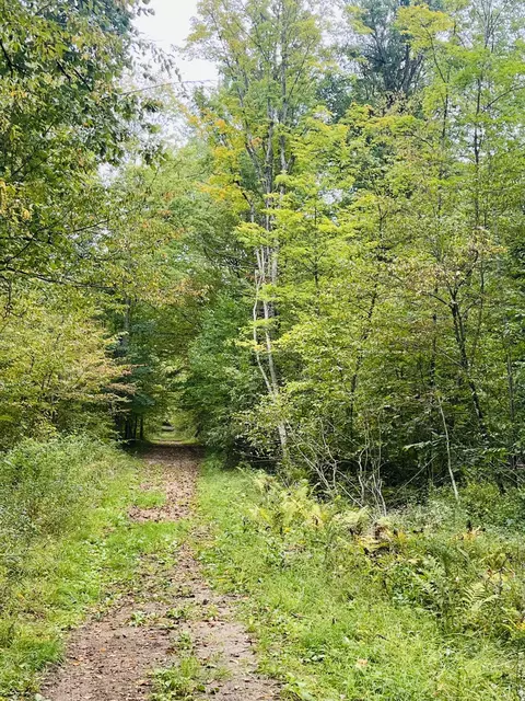 00 200th Ave, Stanwood, MI 49346