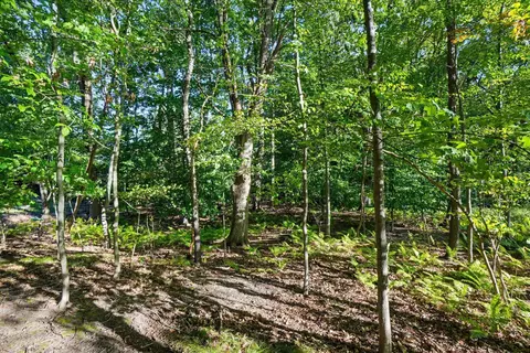 Exterior - 0 Pless Ln, Spring Lake, MI 49456 photo 2 of 4