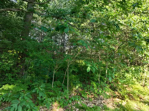 Other - 6539 E Madison Rd, Walkerville, MI 49459 photo 6 of 12